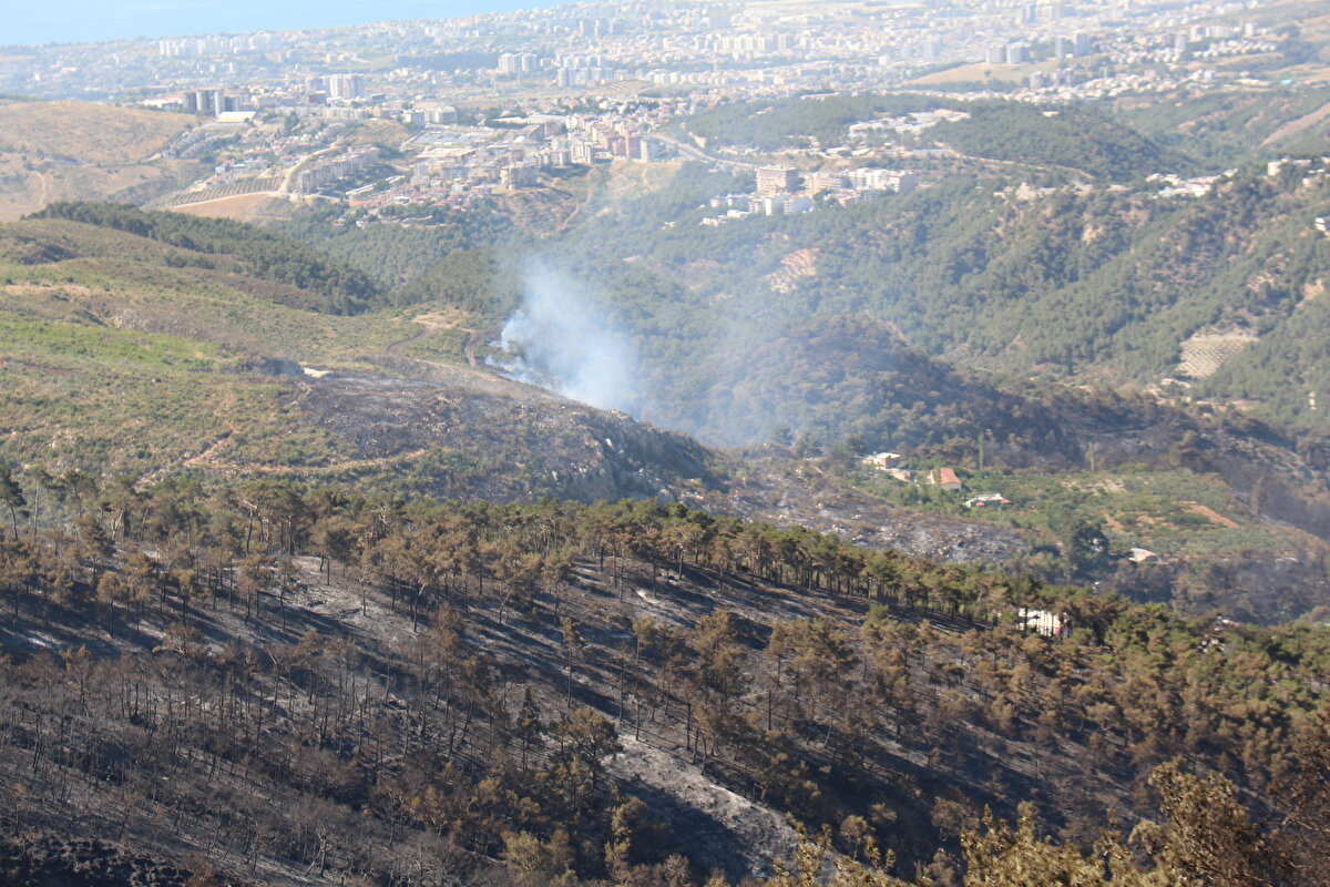 Yumaklı sosyal medyadan yangınlara ilişkin son bilgilendirme paylaşımında, "Hatay, #Belen'deki orman yangını KONTROL ALTINA ALINDI. Soğutma çalışmalarımız devam ediyor. Yangından etkilenen vatandaşlarımıza geçmiş olsun. Orman teşkilatımız başta olmak üzere alevlere göğüs geren tüm kurumlarımızın çalışanlarına teşekkürler. Yeşil vatan size minnettar." ifadelerini kullandı.<br><br>