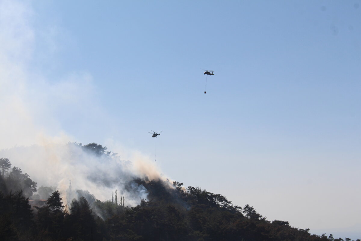 Belen ilçesi Soğukoluk Mahallesi Armutçuk mevkisinde 2 kişinin bahçelerindeki sazlık alanın temizlenmesi için yaktıkları ateş ormana sıçramış, yangın nedeniyle Müftüler, Soğukoluk ve Benlidere mahallerindeki vatandaşlar tedbiren tahliye edilmişti. Yangına yol açan 2 kişi gözaltına alınmış, şüphelilerden biri tutuklanmıştı.<br><br>