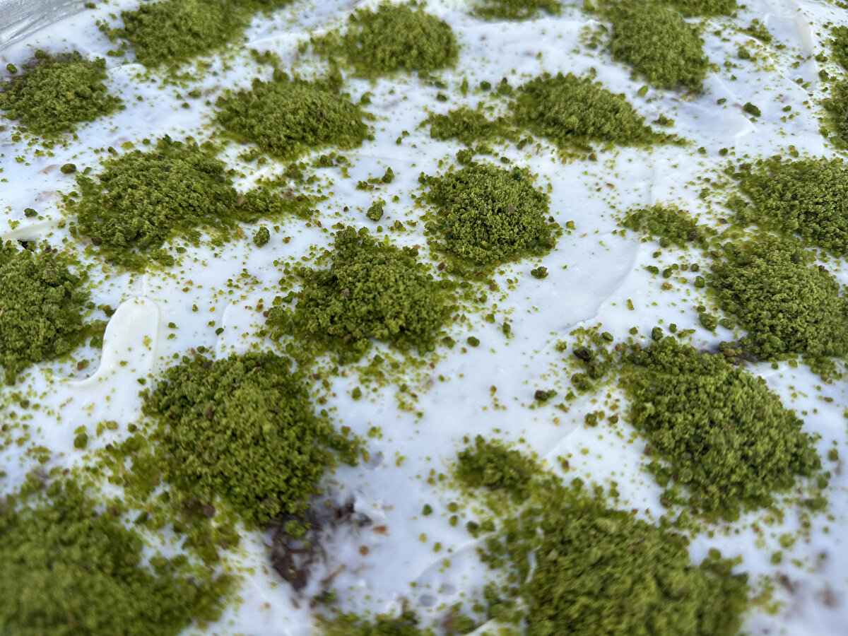 Bir grup vatandaş, 17 Temmuz 1902 yılında icat edilen klimanın Amerikalı mucidi mühendis Willis Haviland Carrier'i anmak için Çukurova ilçesi Bülent Angın Bulvarı'nda bölgedekilere kaymaklı kadayıf dağıttı.