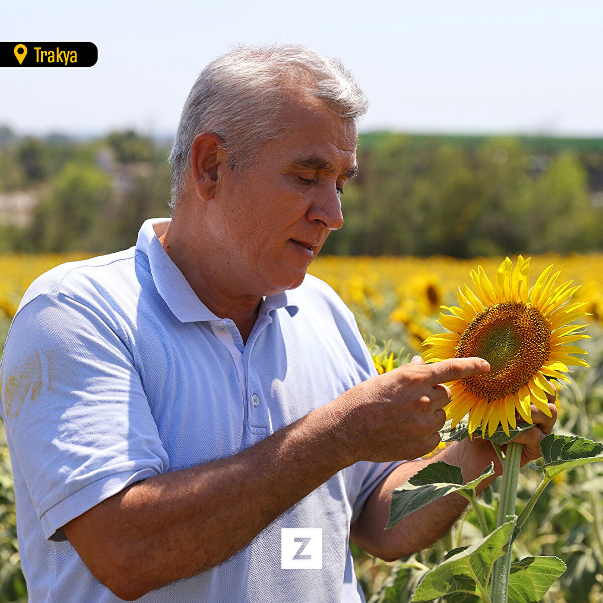 Prof. Dr. Yalçın Kaya, "Sıcaklar olursa çok küçük tablalar oluşturuyor ve birim alandaki dane sayısı düşüyor, cılız dane oluşuyor. Çiçeklenme döneminde çiçeklerin ortaları boş kalıyor." dedi.<br>