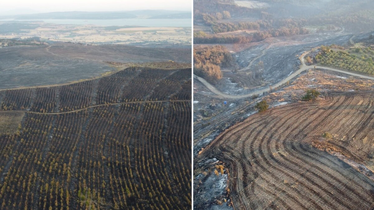 Çanakkale merkeze bağlı Kızılkeçili köyünde 16 Temmuz’da başlayan orman yangını dün gün boyu havadan 9 uçak, 22 helikopter, karadan ise 78 arazöz, 9 ilk müdahale aracı, 25 su ikmal aracı ve 900 personelle yapılan müdahale ile, 52 saatin sonunda saat 20.15 sıralarında kontrol altına alındı.<br><br>