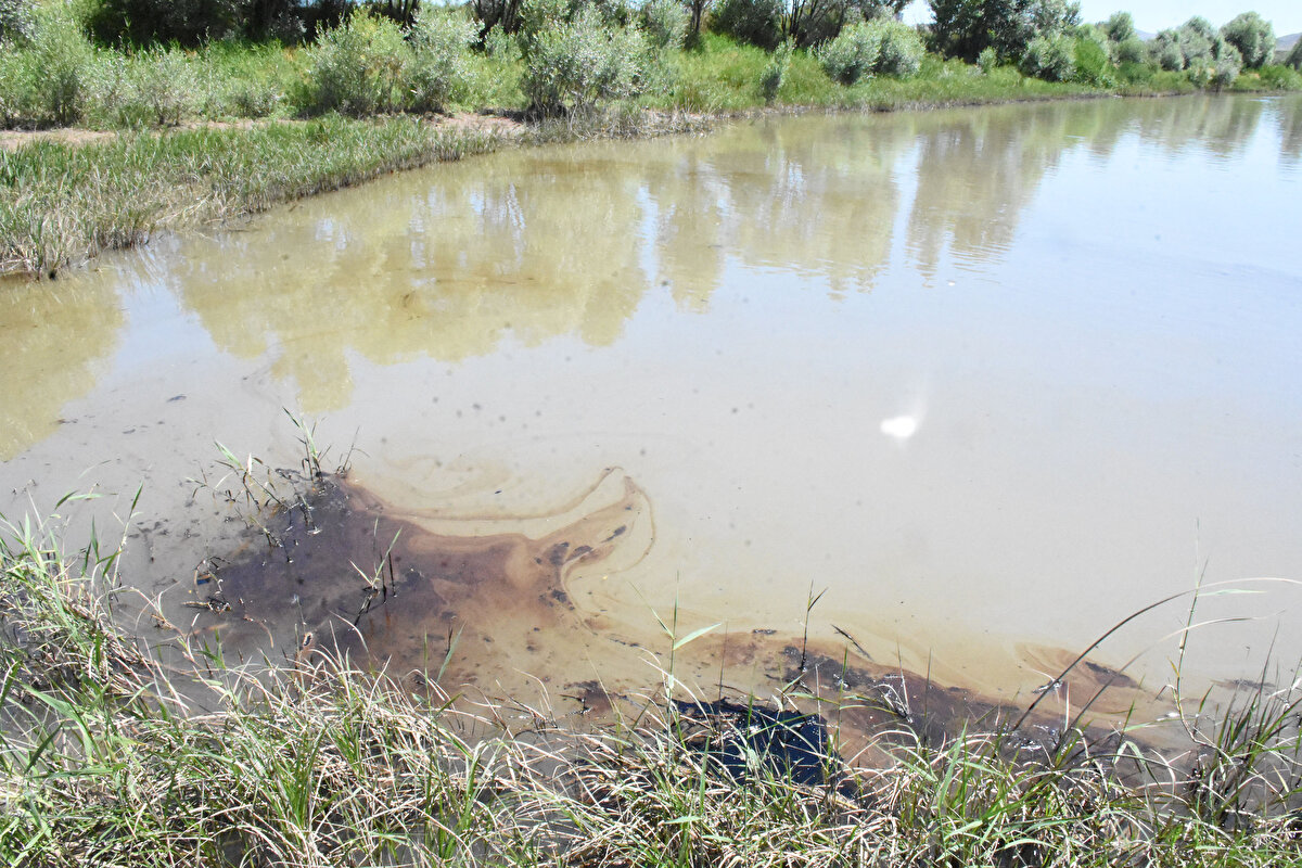 Nehir kenarında olta balıkçılığı yapan bir kişi, "Çocuklarımla buraya balığa geldim. Yaklaşık 2 saattir Kızılırmak'tan zift ya da petrol benzeri bir şey akmaktadır. Bu akan madde neyse balık ve ırmağın içindeki canlılara zarar veriyor. Şu anda komple ırmağı kaplamış durumda. Bunu kim yaptıysa, sorumlusu kimse cezasını çekmesi lazım.'' dedi.<br><br>