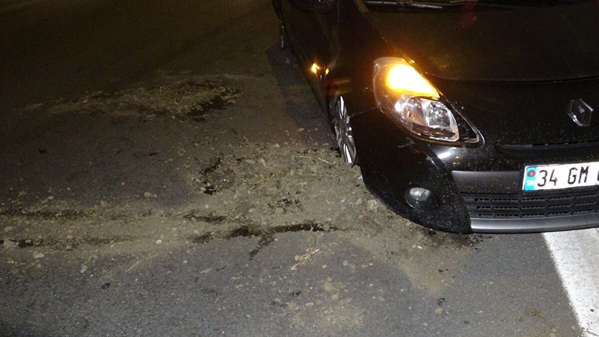 Bu sırada İstanbul yönüne giden Cihan Baykuş yönetimindeki 34 GM 0431 plakalı otomobilin tüm lastikleri, devrilen elektrik direğinden yola saçılan toprak ve taş parçaları nedeniyle patladı. Kontrolden çıkan otomobil, orta refüje çarparak durabildi.<br>