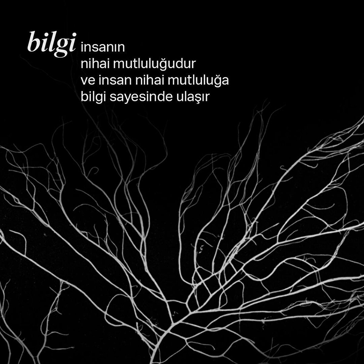 Bilgi insanın nihai mutluluğudur ve insan nihai mutluluğa bilgi sayesinde ulaşır
