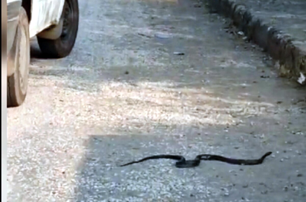 K.Ş.'ye Kara Avcılığı Kanunu'nun ilgili maddesi gereğince 2 bin 77 lira idari para cezası kesildi.