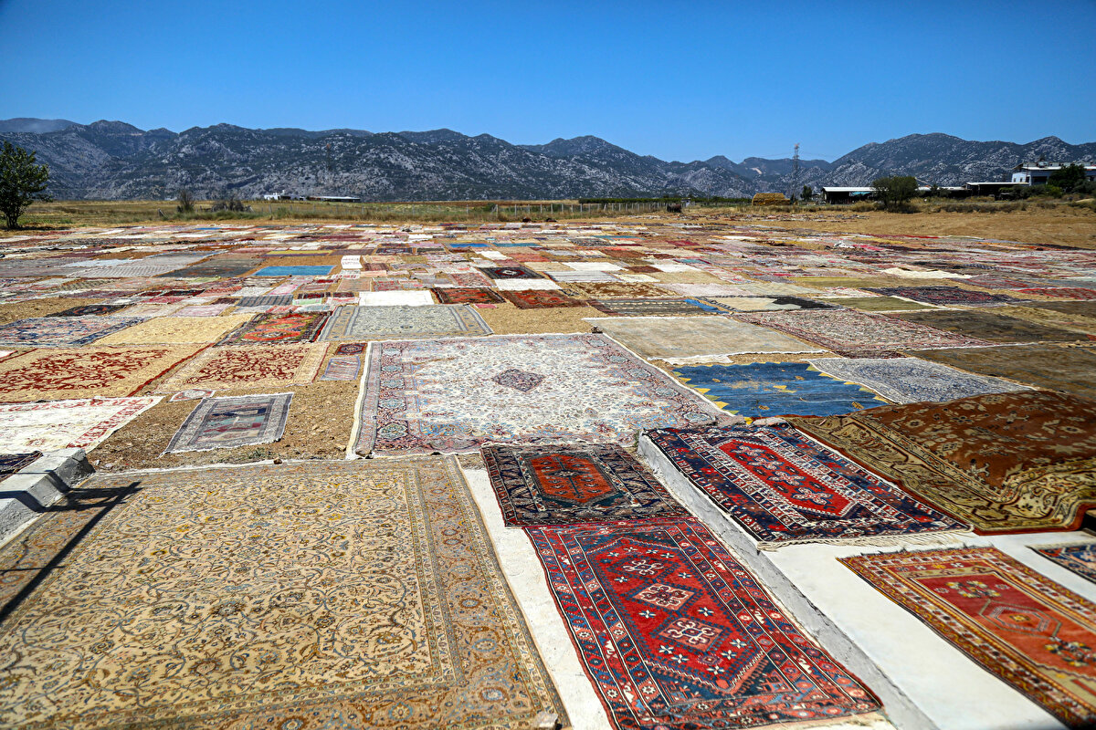 Çalışanlar, sabah erken saatlerde halıları tarlaya serip, gölgelik alanlarda onarılması gerekenleri onarıyor. Öğleden sonra da halıların diğer yönleri çevrilip akşama kadar güneşlendiriliyor. Bu işlem günlerce sürüyor. Halıların tamamının yün dokuma olduğunu belirten Halil Börekçi, İç Anadolu ve Karadeniz bölgesinden dahi güneşte bekletilmesi için gönderilen halılar olduğunu söyledi. Halılar arasında nadir bulunan ve yüksek fiyatlardan satılanlar da var.<br>