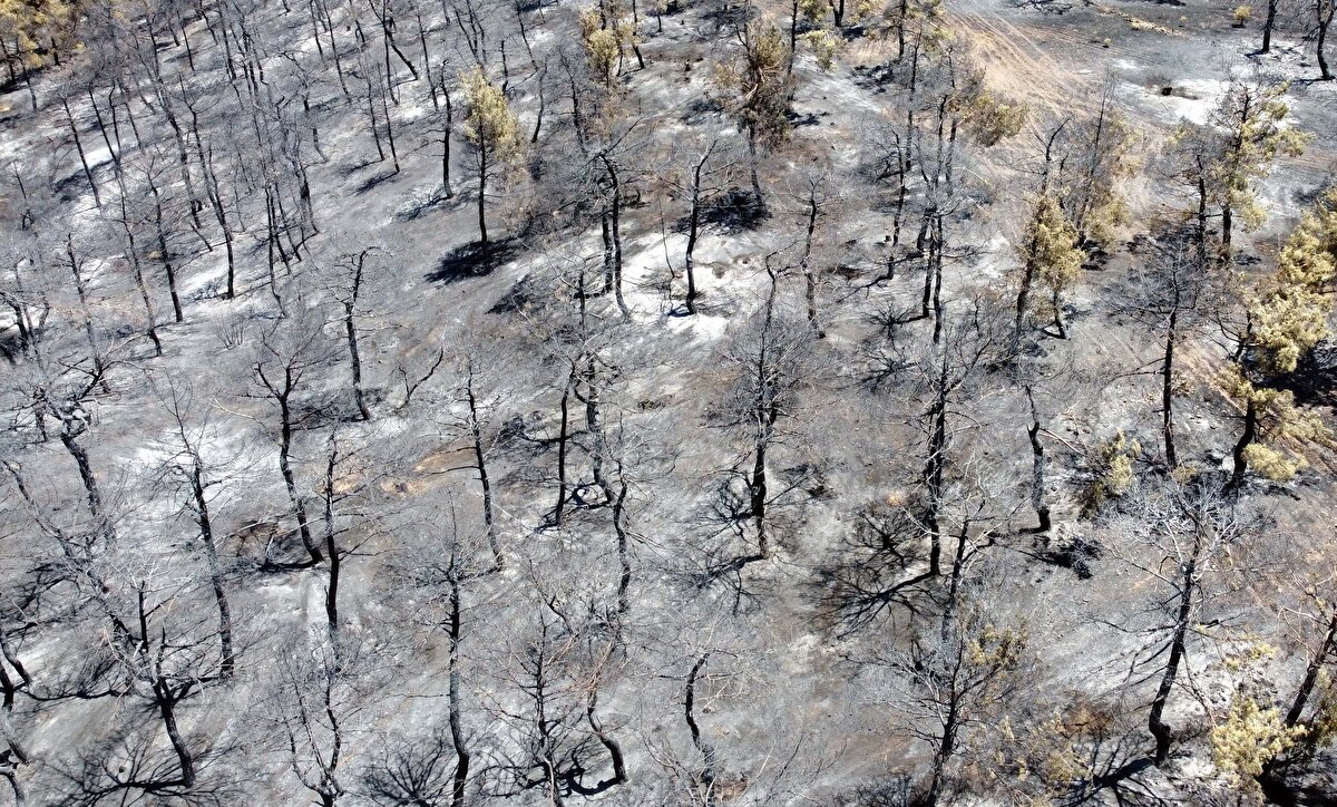 Ormandan yükselen dumanları görenler, durumu 112 Acil Çağrı Merkezi'ne açıkladı.