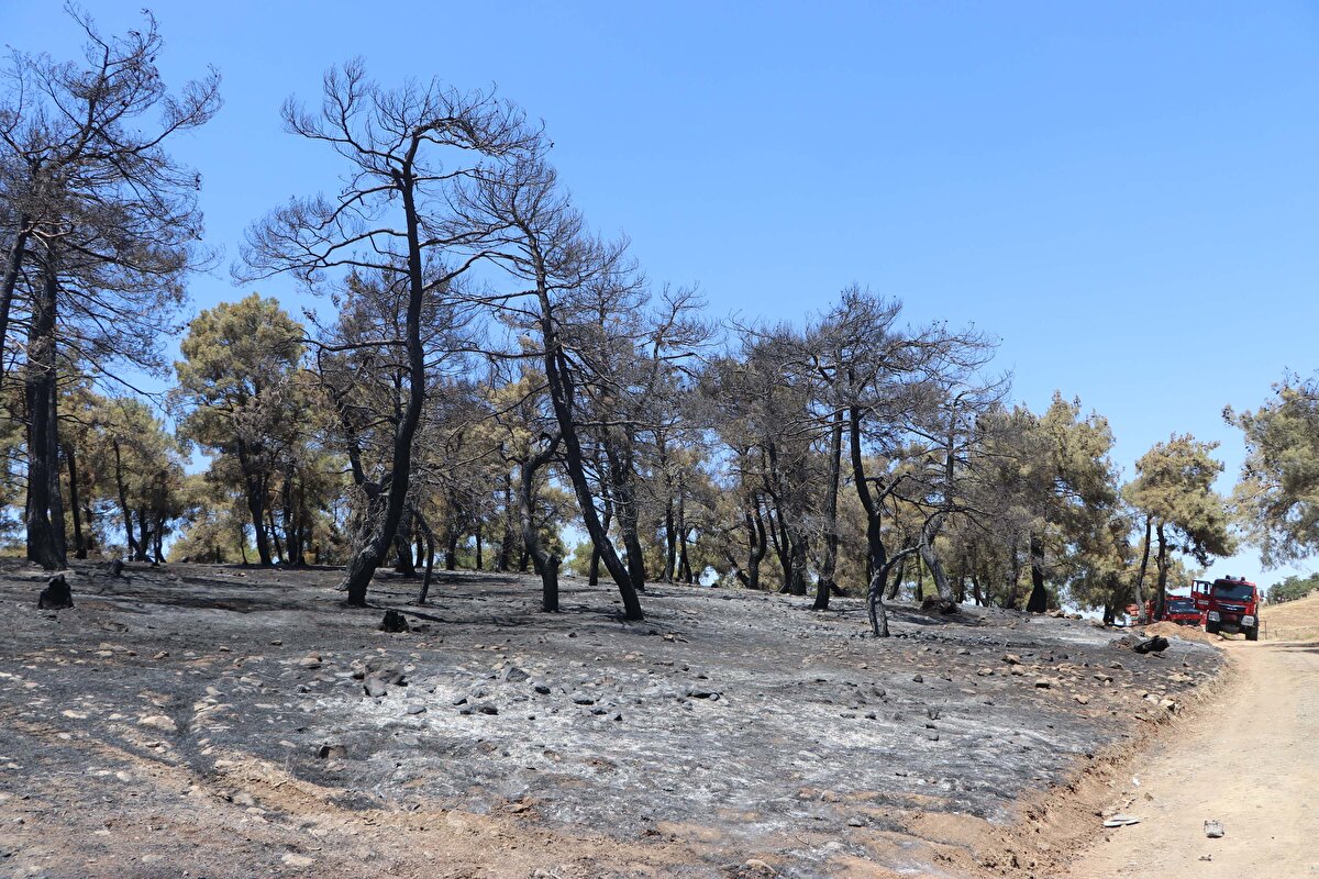 Yer yer soğutma çalışmaları sürerken, 58 hektar alanın zarar gördüğü bölge dron ile de görüntülendi.