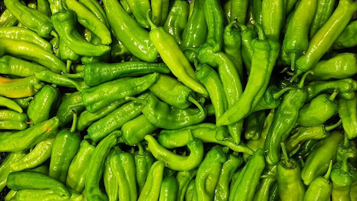 ESKİ<br><br>Yeşilbiber<br><br>GÜNCEL<br><br>Yeşil biber