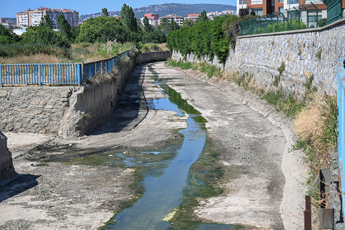 Sahilde yürüyüş yapan Bekir Demirdöğen gezmeye geldiğinde kötü koku nedeniyle burnunu kapatmak zorunda kaldığını anlatarak "Duyarlı insanların buraya el atması gerekiyor. Sadece burası değil. Boydan boya birkaç yer de böyle. Gerçekten çok rahatsız oluyoruz." diye konuştu.