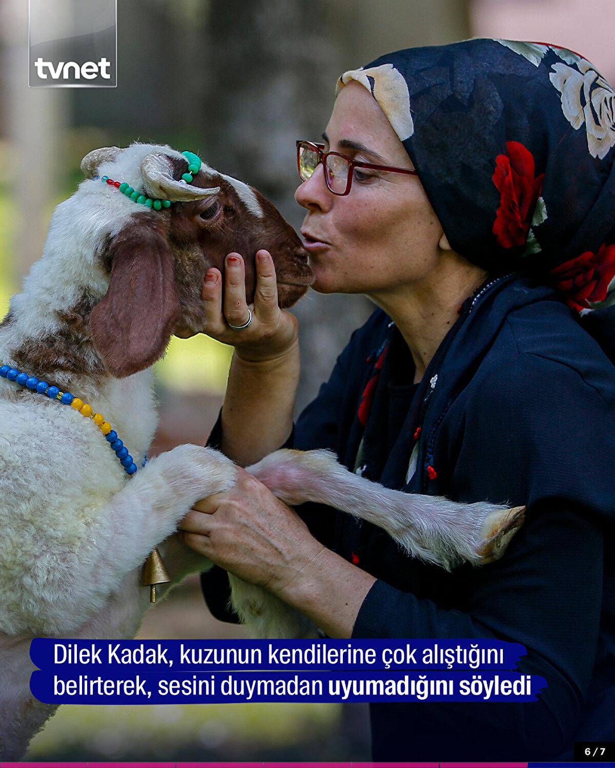 Dilek Kadak, kuzunun kendilerine çok alıştığını belirterek, sesini duymadan uyumadığını söyledi