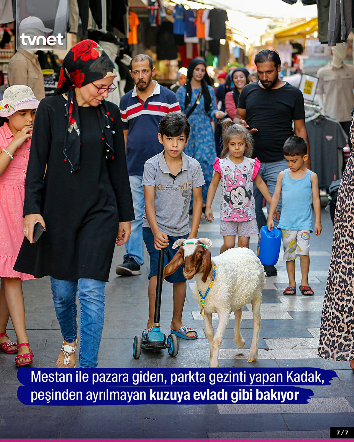 Mestan ile pazara giden, parkta gezinti yapan Kadak, peşinden ayrılmayan kuzuya evladı gibi bakıyor