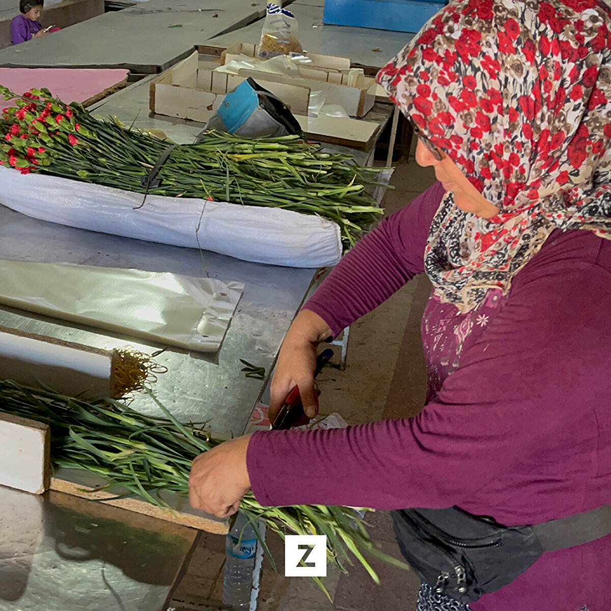 Isparta Ziraat Odası Başkanı Mustahattin Can Selçuk ise bütün köyleri üretmeye çağırdığını belirterek “ Ülkemizde işsizlik olmasın, ülke ekonomisine katkı sağlayalım. Bizim ürettiğimiz ürünler yurt dışı pazarında Made in Türkiye olarak gözüktüğünde hepimiz aynı gururu yaşıyoruz. dedi,"