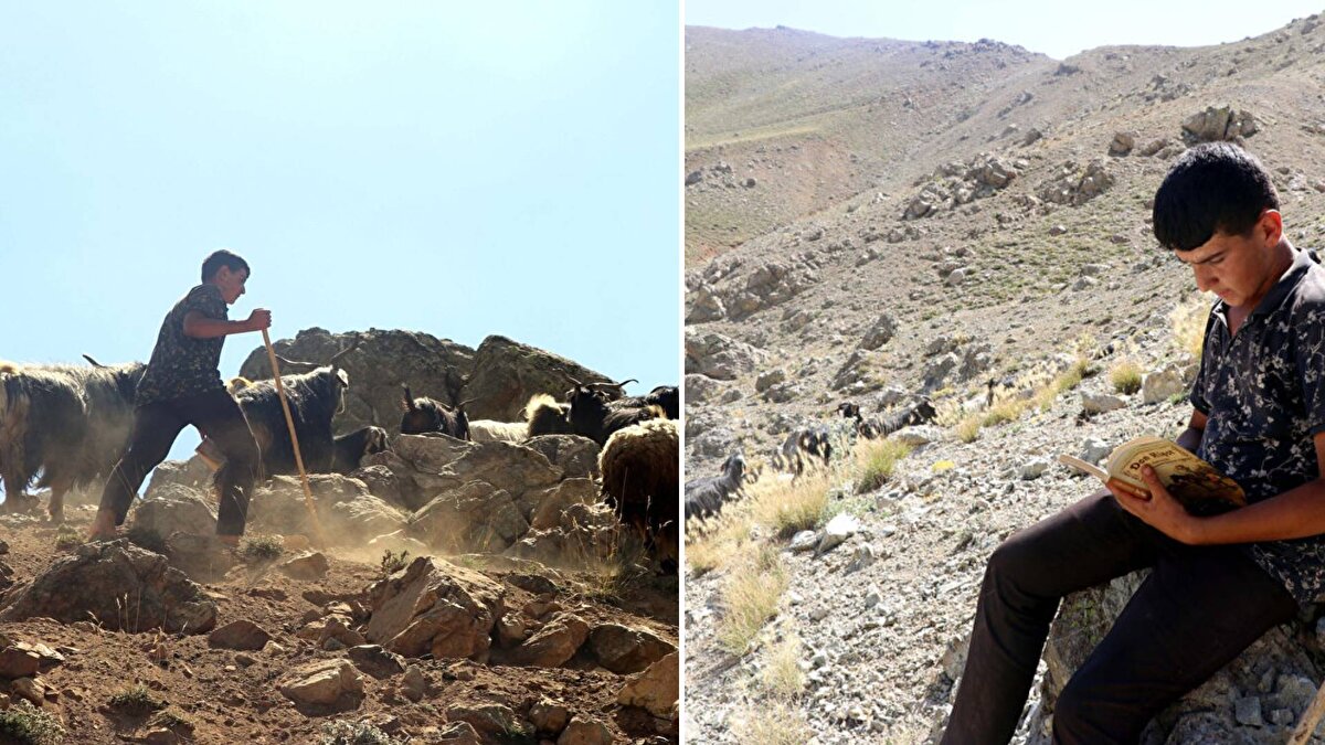 Arıcak Ortaokulunda okuyan 14 yaşındaki Yazar, ailesiyle 2 bin 500 rakımdaki Akdağ Kepir Yaylasında keçilerin bakımıyla da ilgileniyor.