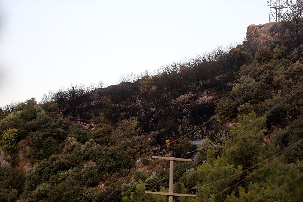 Yangının ardından İlçe Jandarma Komutanlığı ekipleri çalışma başlattı. Çalışmaların ardından yangını çıkardığı şüphesiyle bir kişi gözaltına alındı.<br>