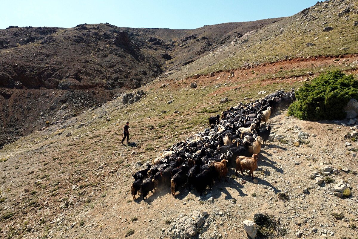 Öğrencisini hiç yalnız bırakmadıklarını dile getiren Yıldırım. "Halil çok ders çalıştı. Bütün kaynakları çözmüştü. Eksik olanları da biz bir şekilde temin ediyorduk. Bu süreçte yaylada ailesine yardım etti. Halil'in eline tablet ya da telefon geçtiğinde hemen kitap bakardı." ifadelerini kullandı.<br>