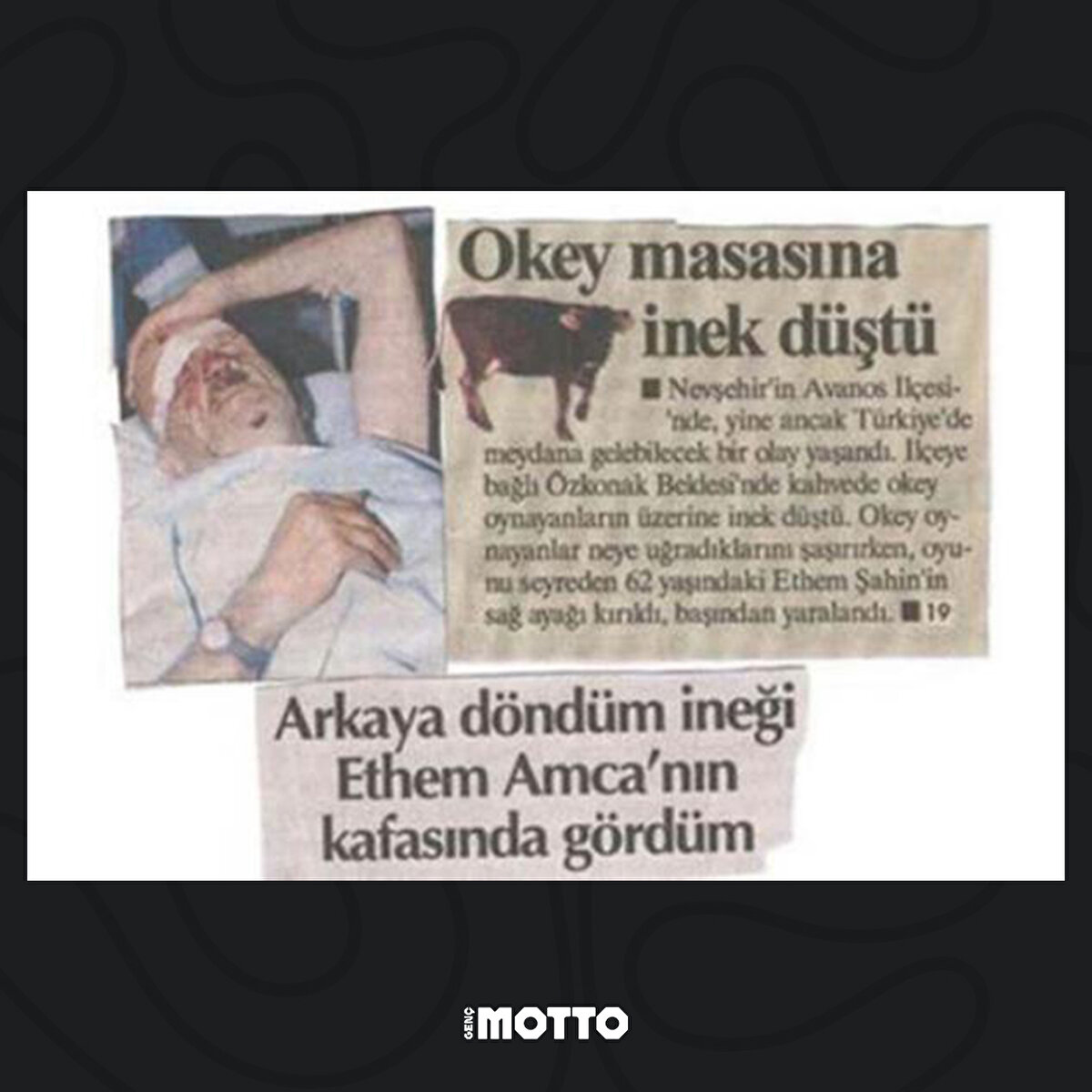 Okey masasına inek düştü