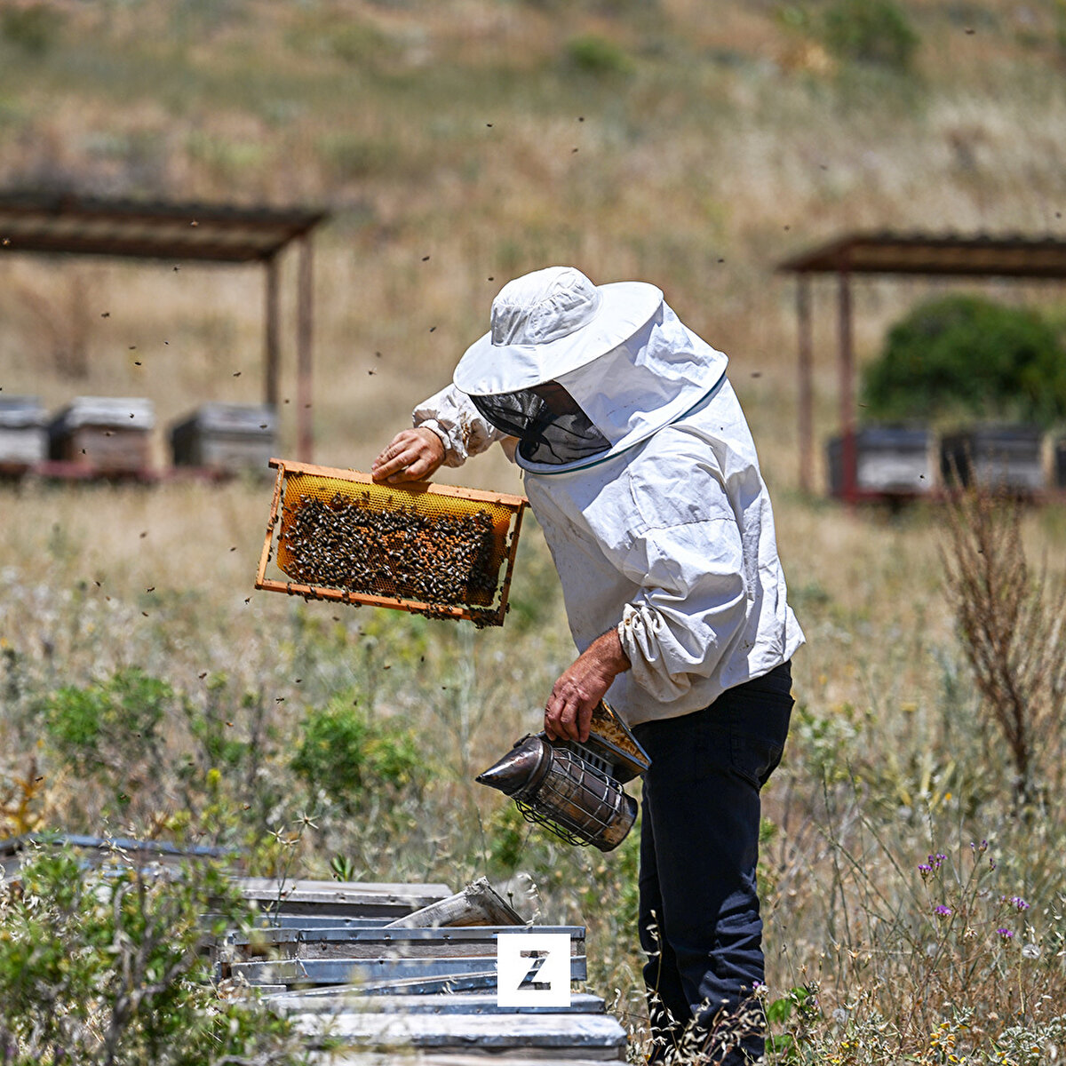 Arıcılıkla ilgili eğitim faaliyetlerinin de yıl boyunca sürdüğü kentte, geçen yıl yaklaşık 2 bin 200 ton bal üretildi.