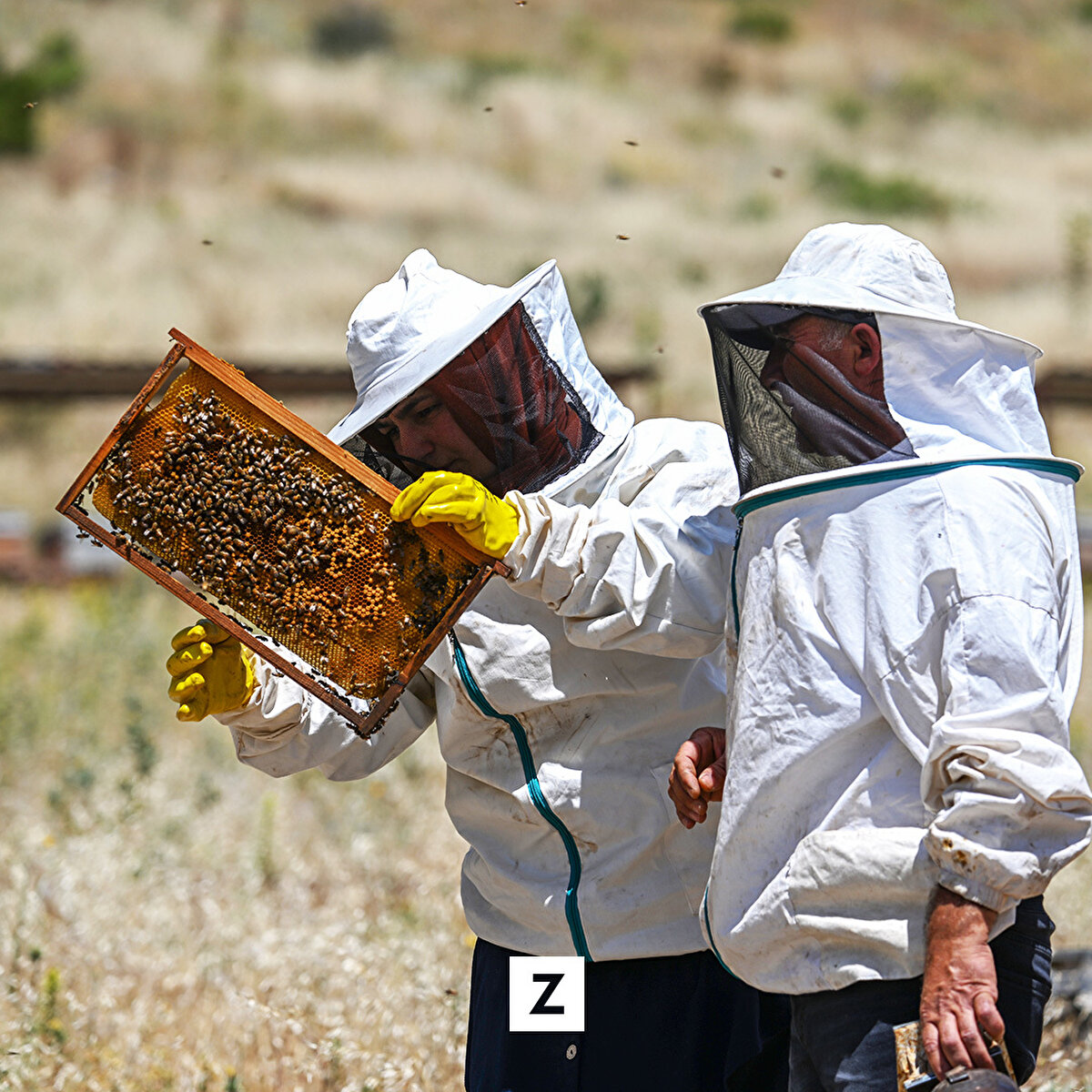 Arıcılıkla ilgili eğitim faaliyetlerinin de yıl boyunca sürdüğü kentte, geçen yıl yaklaşık 2 bin 200 ton bal üretildi.