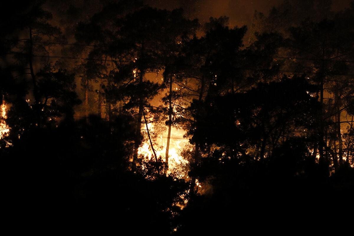 Tarım ve Orman Bakanı İbrahim Yumaklı, Antalya'nın Kemer ilçesindeki orman yangınına müdahale için 11 uçak, 22 helikopter, 62 arazöz ve 512 personel sevk edildiğini bildirdi.<br><br>Yumaklı, sosyal medya hesabından, Antalya'nın Kemer ilçesindeki yangına ilişkin paylaşımda bulundu.<br><br>Çalışmalar için 11 uçak, 22 helikopter, 62 arazöz ve 512 personel sevk edildiği bilgisini veren Yumaklı, "Yangının başladığı ilk andan itibaren ormanın kahramanları cansiperane bir mücadele veriyor. Havadan ve karadan müdahalemiz aralıksız sürüyor." değerlendirmesinde bulundu.