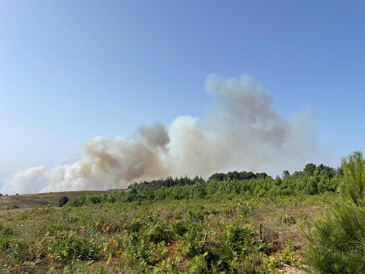 <br><br>Yangın saat 15.00 sıralarında Beykoz Anadolu Feneri'nde çıktı.