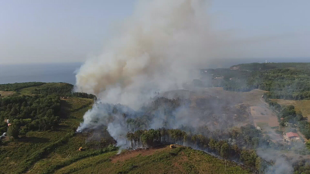 Otluk alanda çıkan yangın kısa sürede büyüdü. Ormana ulaşan yangına müdahale için çok sayıda itfaiye ekibi sevk edildi.