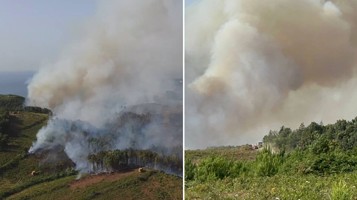 Beykoz'da ormanlık alanda çıkan yangına itfaiye ekiplerince müdahale ediliyor.