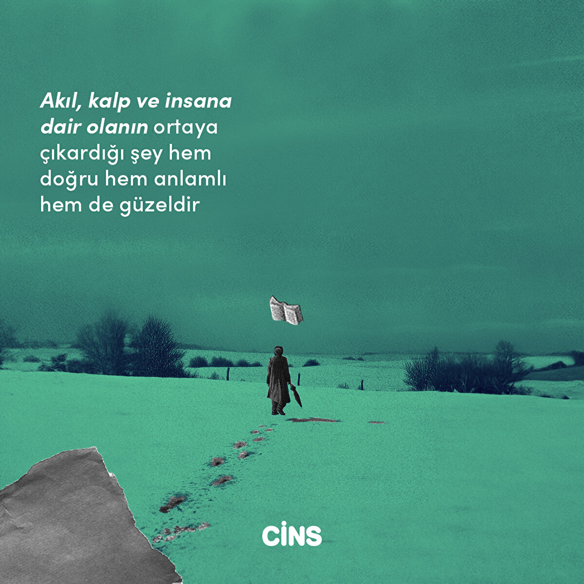 Akıl, kalp ve insana dair olanın ortaya çıkardığı şey hem doğru hem anlamlı hem de güzeldir