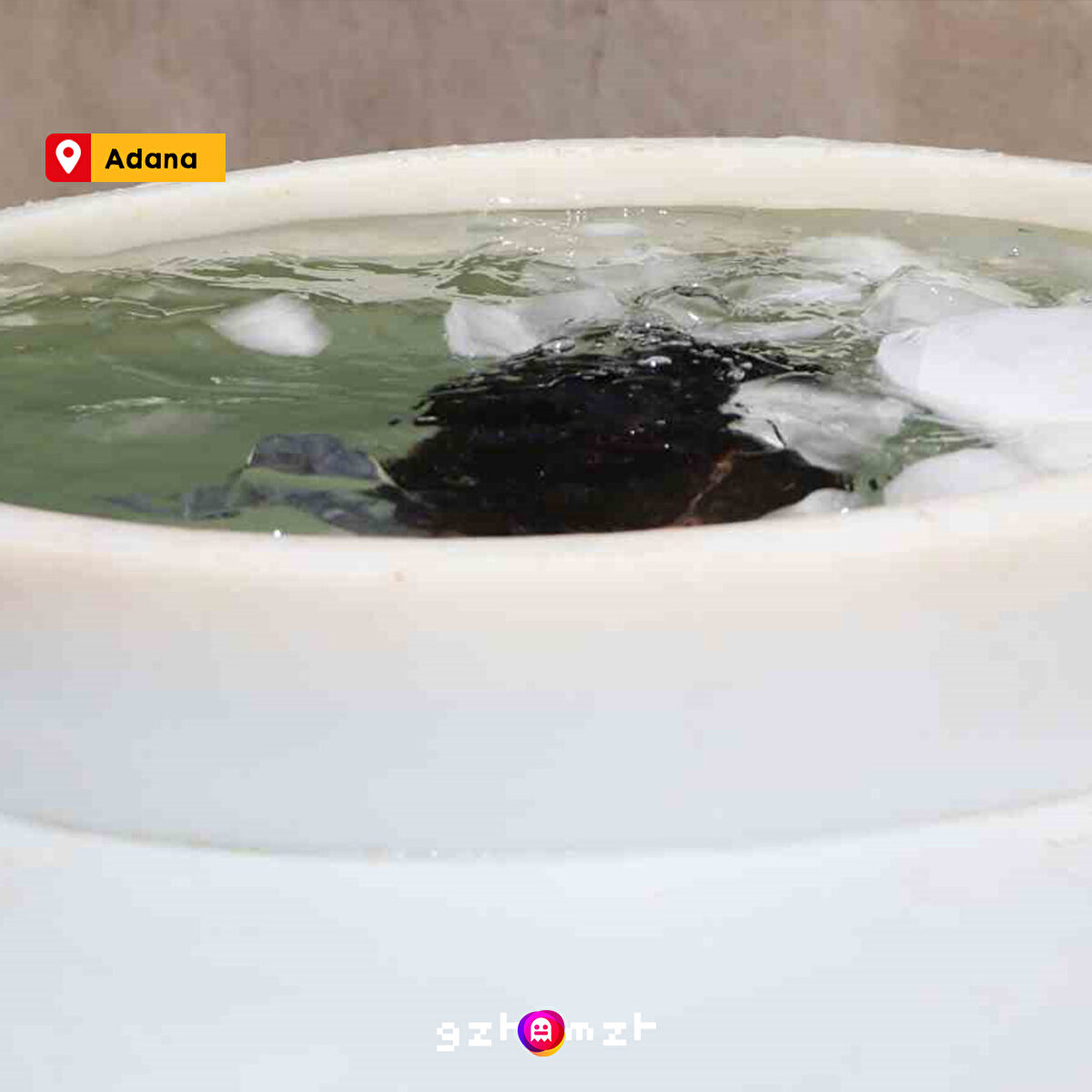 Hayal ettiğimiz hayatı Adanalılar yaşıyor