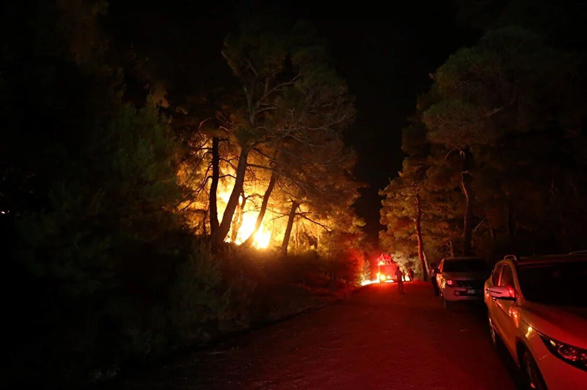 ÇANAKKALE'DE ORMAN YANGINI<br>Merkeze bağlı Sarıbeyli köyü yakınlarındaki ormanlık alanda henüz belirlenemeyen nedenle yangın çıktı.