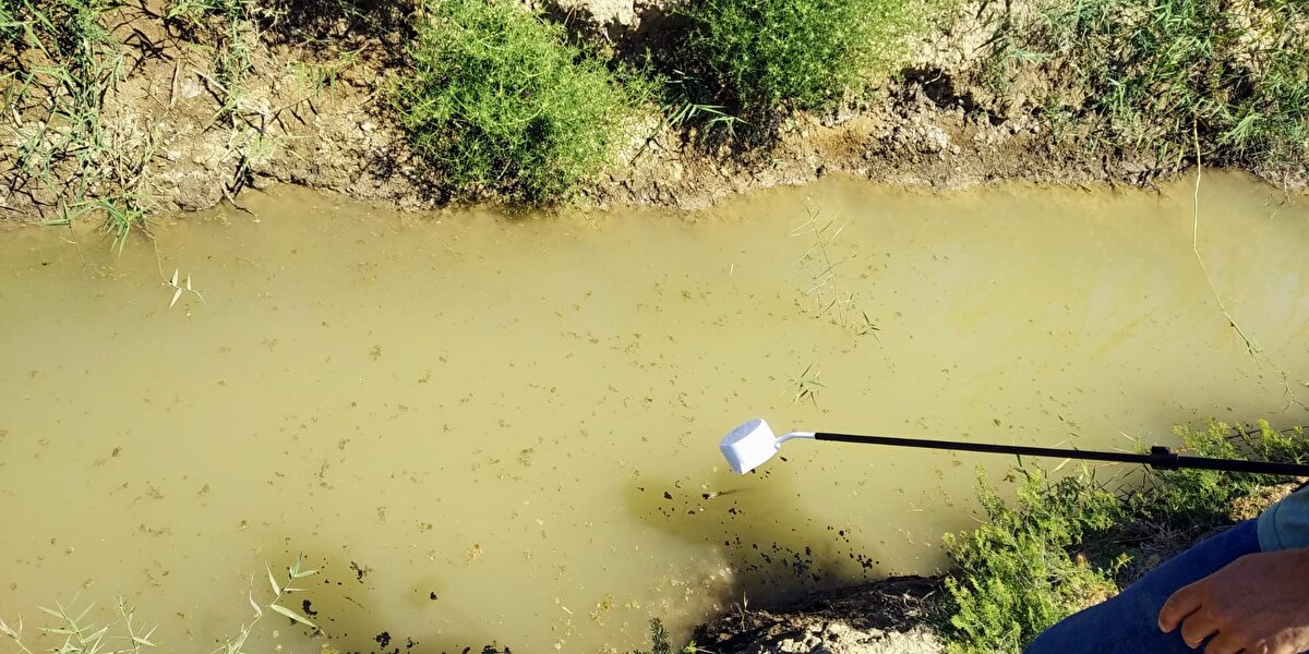 Apartmanların bodrum katında su birikintileri oluşursa; bunların da kurutulması lazım. Bir sivrisinek, bir kaba 400 yumurta bırakır. Larvaların 50 tanesi erginleşebilir. Sineklerin 25 tanesi dişi olsa, onlar da yumurta bıraksa; ilerleyen dönemlerde bir kap suda milyonlarca sinek üreyebilir. Bu sadece bir kap sudan ibaret" diye konuştu. 