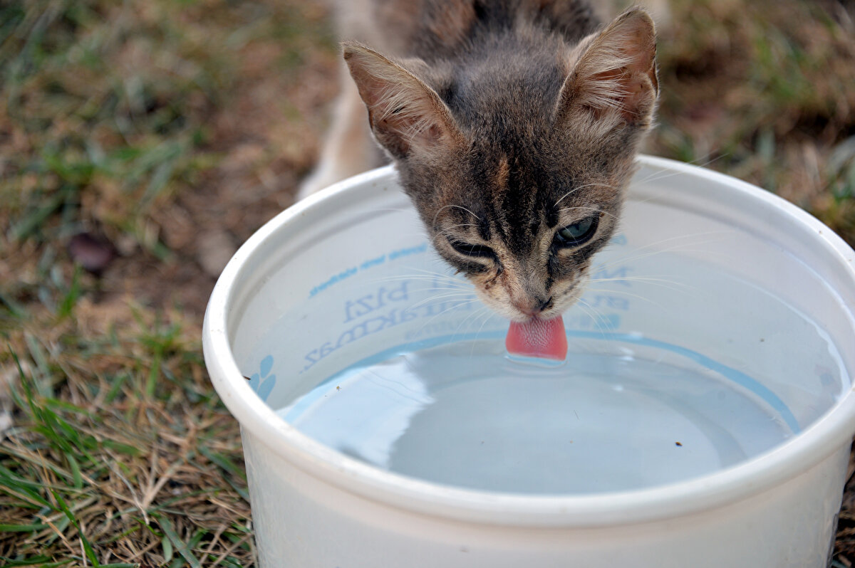 Kavurucu sıcaklarla boğuşan vatandaşlar, geceleri pencerelerini açamaz hale geldi.