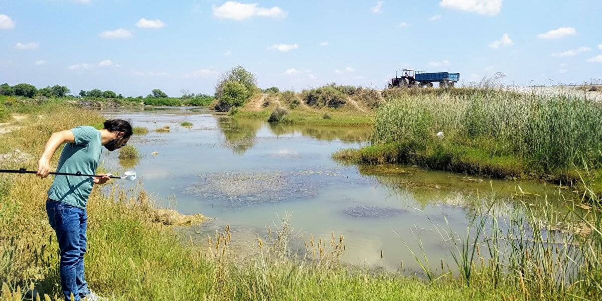 'BELEDİYEDEN ÇOK HALKIN DUYARLI OLMASI LAZIM'<br><br>Sineklerin su birikintilerinde çabuk üreyebildiğini anlatan Prof. Dr. Alptekin, ev ve iş yerlerinin önüne sokak hayvanları için su kabı koyan vatandaşlara da uyarılarda bulundu. 