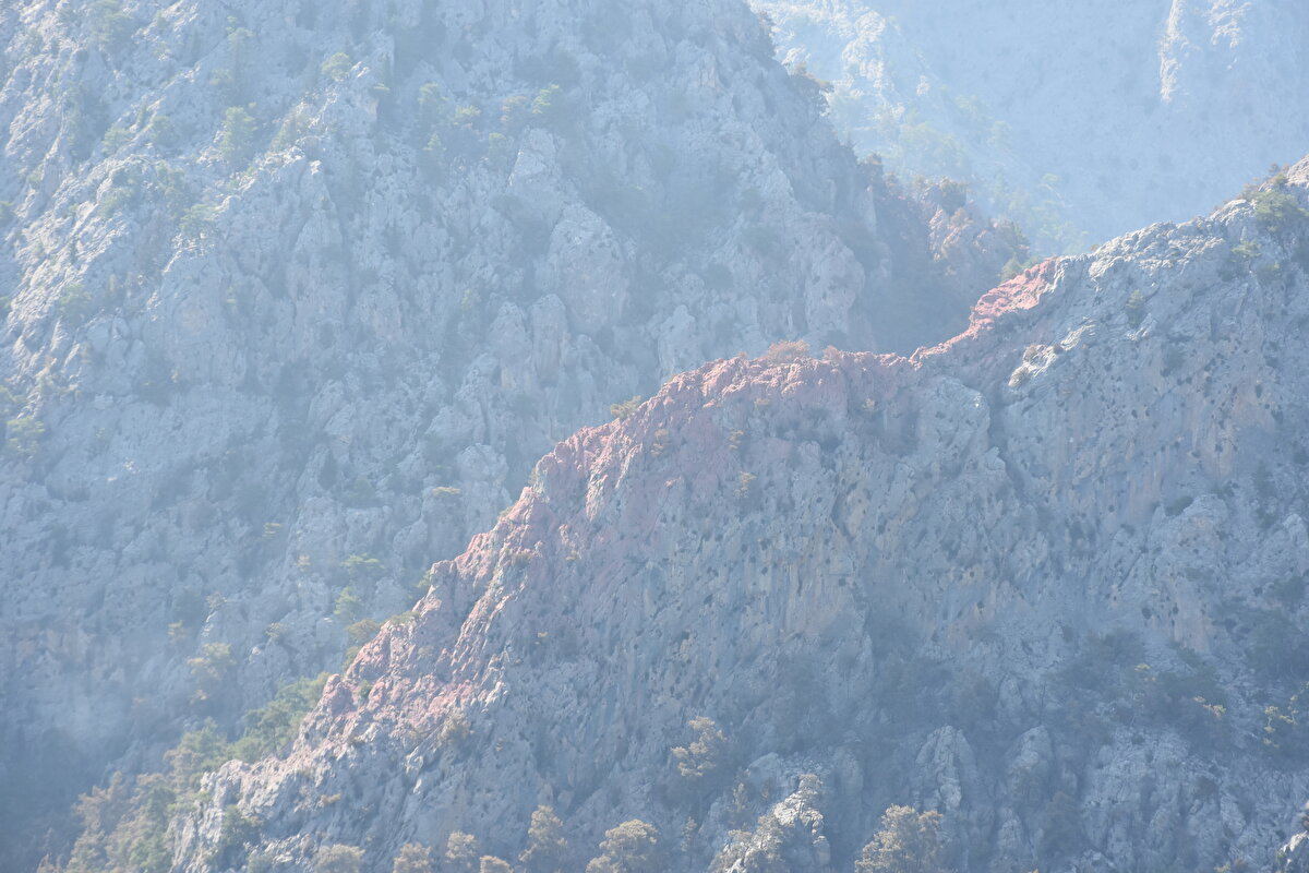 Göynük Değirmendere Mahallesi'ndeki ormanlık alanda 24 Temmuz Pazartesi akşam saatlerinde başlayan yangın, havadan ve karadan ekiplerin yoğun müdahalesiyle 90'ıncı saatte kontrol altına alındı.<br><br>
