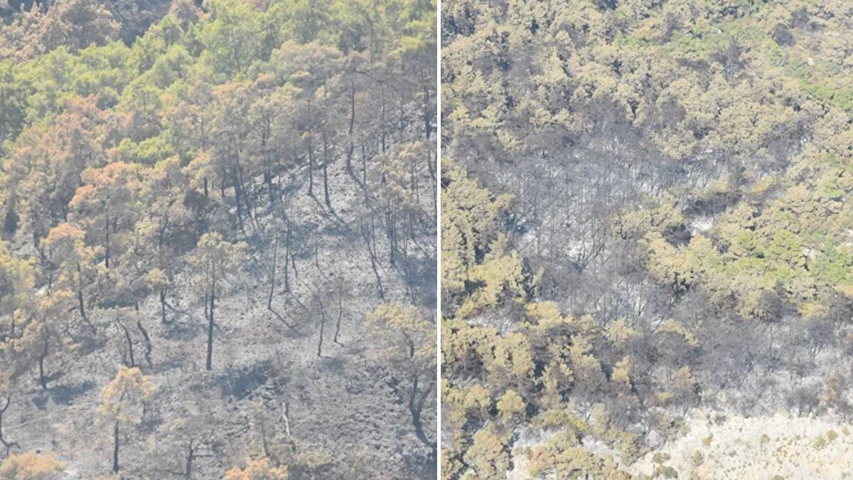 Göynük Değirmendere Mahallesi'ndeki ormanlık alanda 24 Temmuz Pazartesi akşam saatlerinde başlayan yangın, havadan ve karadan ekiplerin yoğun müdahalesiyle 90'ıncı saatte kontrol altına alındı.