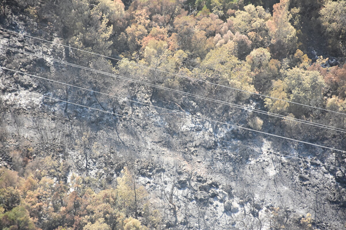 Çok sayıda arazöz, iş makinesi, itfaiye araçları ve ekipler de çalışmalara destek verdi.<br><br>
