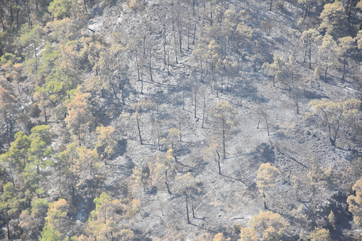 Yangının ilk anlarından itibaren bölgede bulunan Antalya Valisi Ersin Yazıcı da sosyal medya hesabından yangının kontrol altına alındığı bilgisini paylaştı.<br><br>Yazıcı, "24 Temmuz Pazartesi günü saat 21.08'de başlayan ve ciğerimizi yakan, kayalık ve kanyonların olduğu derin bir vadi içinde devam eden Kemer orman yangınını bütün kurumlarımızın mücadelesi ile 90'ıncı saatte kontrol altına aldık." ifadesini kullandı.