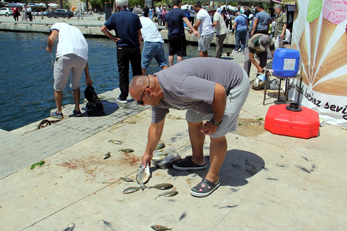Vatandaşlar da kıyıda kolayca balık avlamanın kendilerini sevindirdiğini dile getirdi.