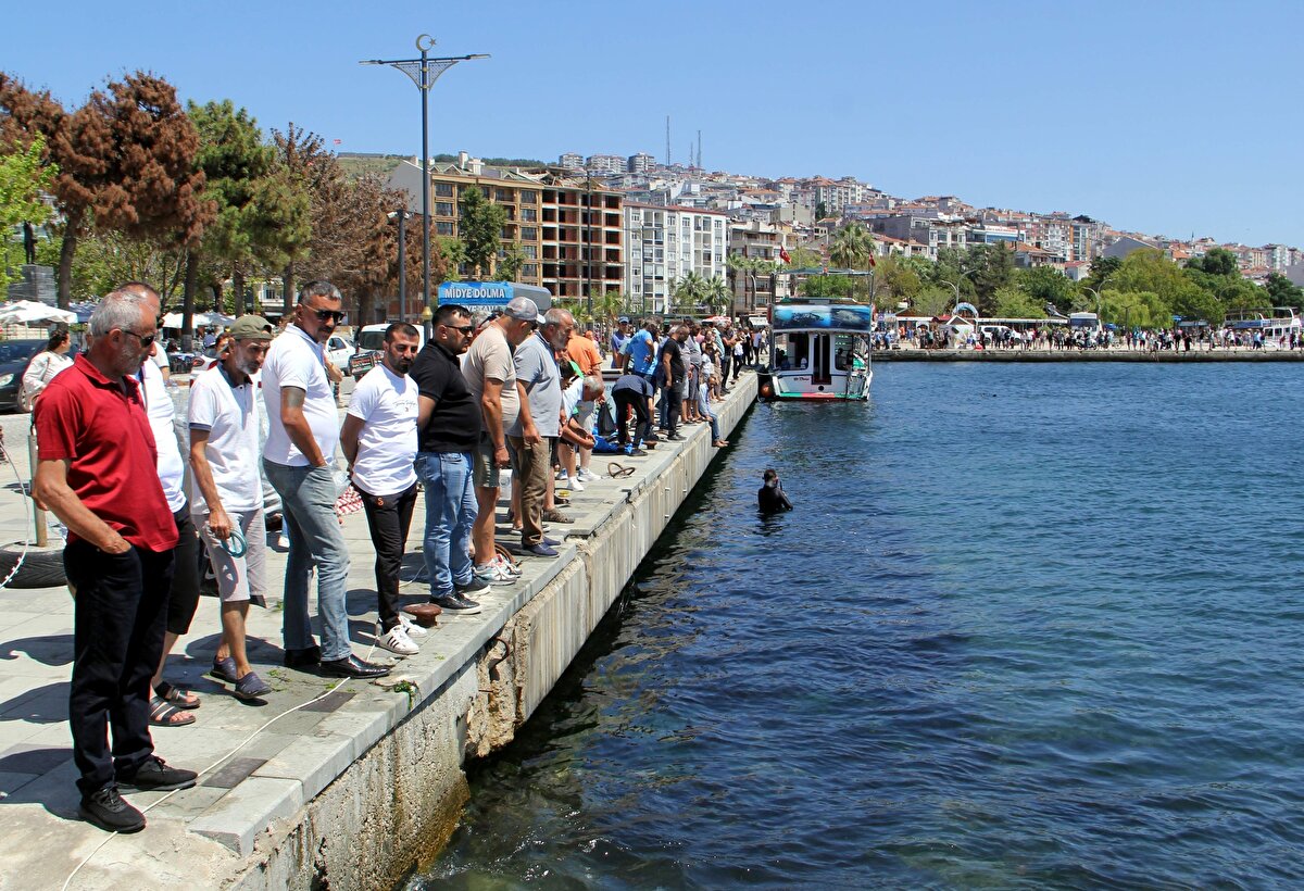 Sinop Merkez Su Ürünleri Kooperatif Birliği Başkanı Namık Ünlü, yaptığı açıklamada, soğuk suyun çarpmasıyla şoka giren balıkların yarı baygın vaziyette su yüzüne çıktığını söyledi.<br><br>