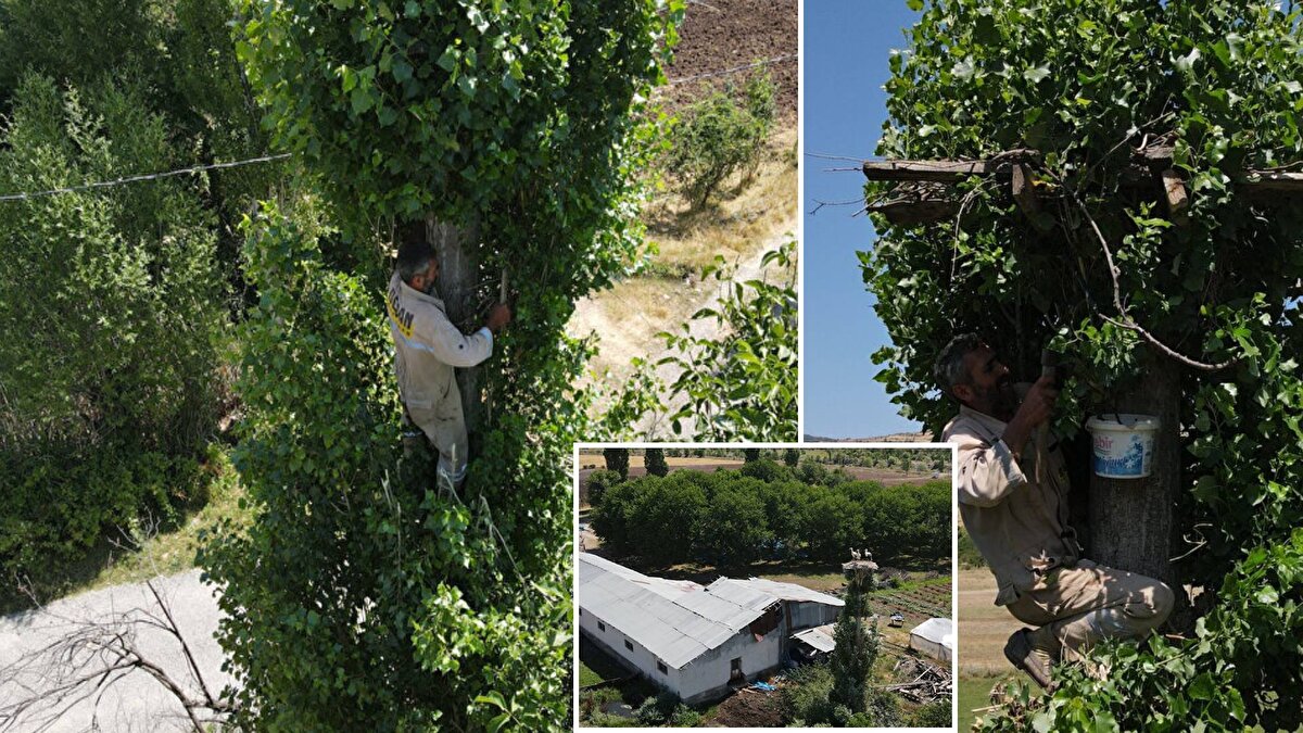 Özkütükçü, çocukluk döneminde babası ve amcalarının leylekler için yuva hazırlamasını ve mevcut yuvaları onarmasını izledi.