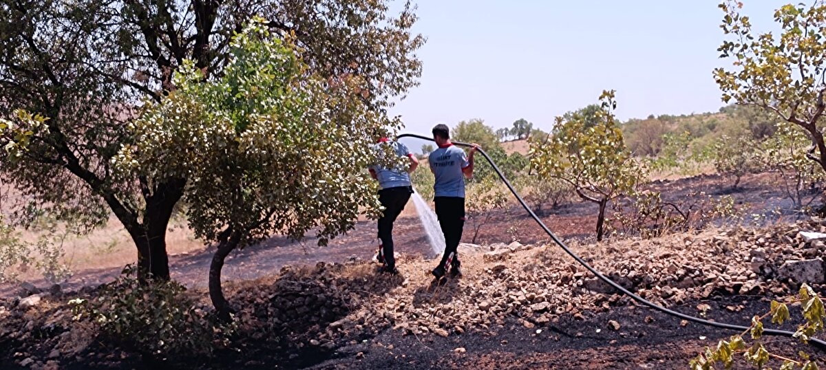  Yangının çıkış nedeni araştırılıyor.