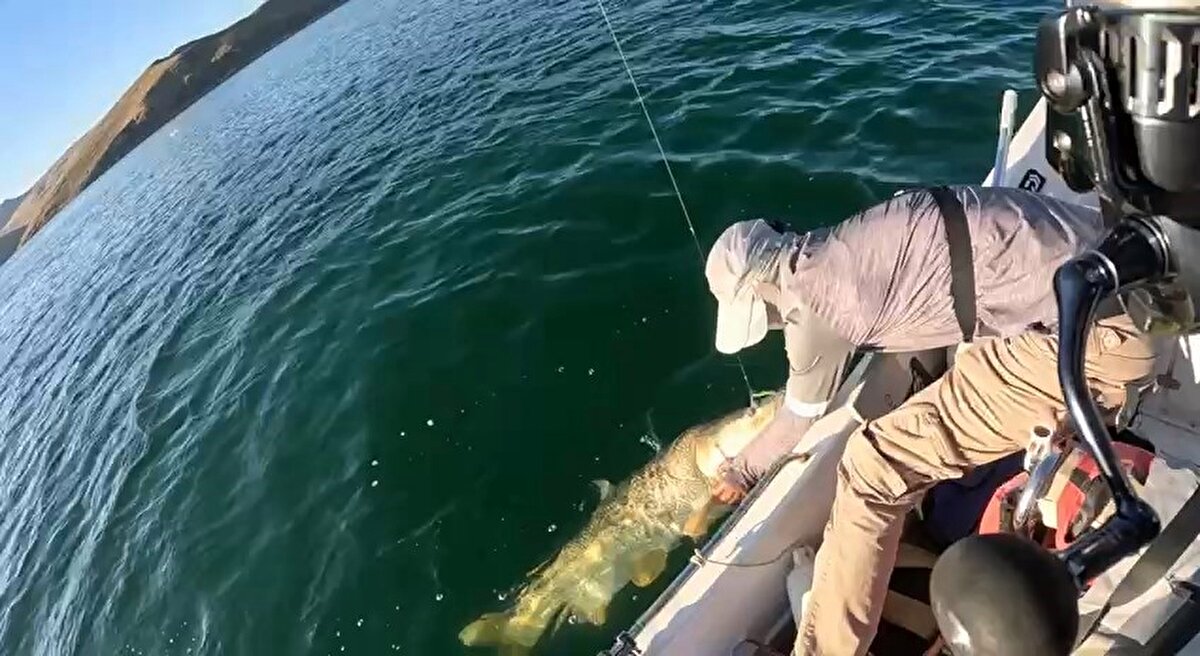 Grubun 1,5 metre uzunluğundaki oltasına balık takıldı.