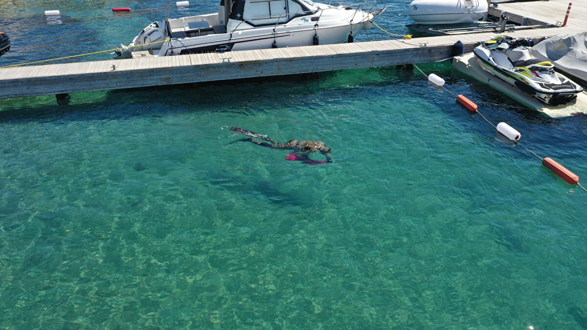 Denizden toplanan atıklar sualtı kamerası ile dalgıçların dalış anı ise dronla görüntülendi.