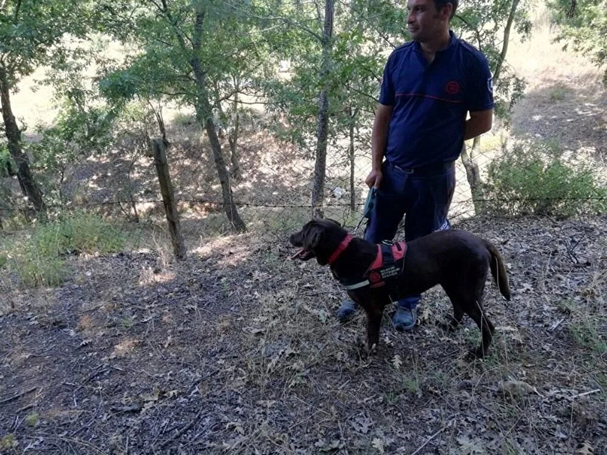 "DÖNÜNCE ONA İMAMBAYILDI YAPACAĞIM"<br>Kendisinin bir İngişiz olduğunu ancak Türkiye'yi çok sevdiğini ifade eden Angele Berzeg, burada yaşamaktan keyif aldığını ve hemen hemen bütün Türkiye yemeklerini yapabildiğini ifade etti. Berzeg, "Korhan döndüğünde ona en sevdiğimiz yemek olan İmam Bayıldı'yı yapacağım." dedi.