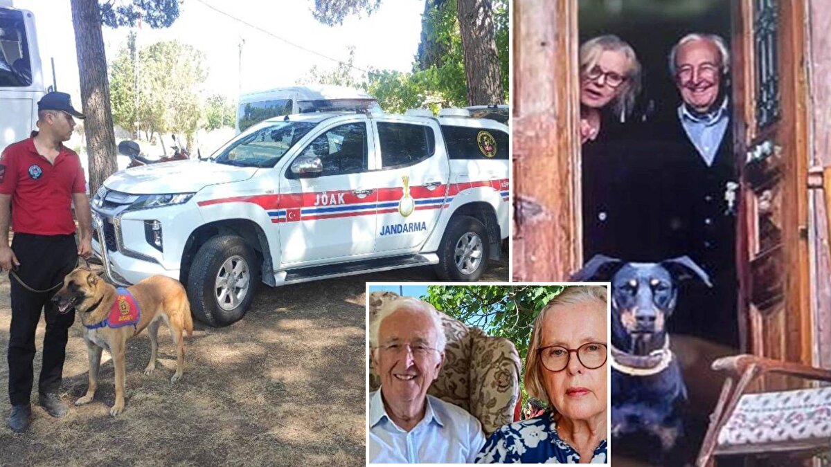 Balıkesir'in Gönen ilçesi kırsal Armutlu Mahallesi'ndeki evinden 17 Haziran'da sabah yürüyüşü yapmak için köpeği "Tina" ile ayrıldıktan sonra haber alınamayan 83 yaşındaki ekonomist Korhan Berzeg için İl Afet ve Acil Durum (AFAD) Müdürlüğü koordinasyonunda başlatılan çalışma 49 gündür devam ediyor.