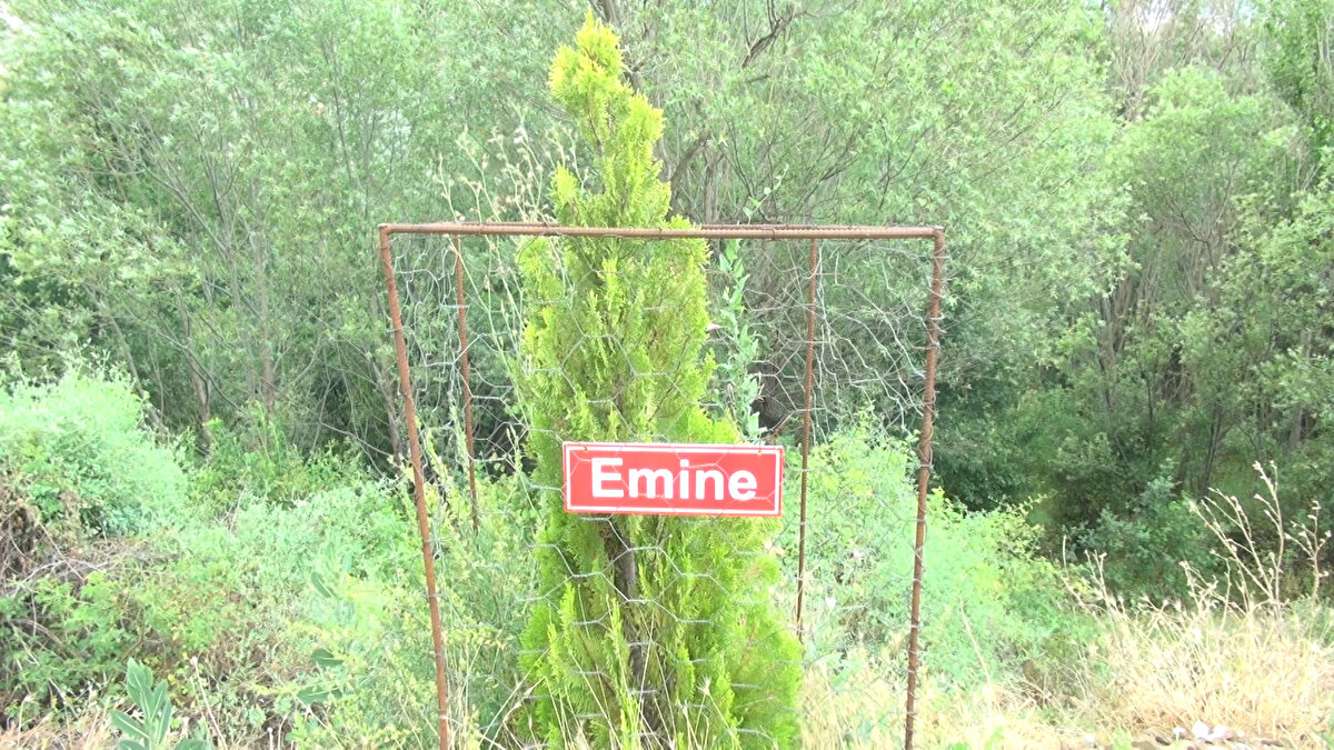 Çoğunluğu gurbette yaşayan köy halkı ise yazın geldikleri memleketlerinde yakınlarının isimlerinin olduğu fidanları, görünce duygusal anlar yaşıyor.<br>