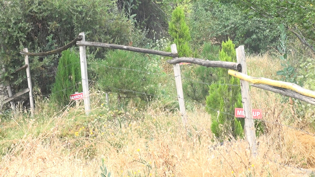 'ÜZERİMİZDE ÇOK EMEKLERİ VAR'<br><br>Köyde yaşayan annelerin, köyün tüm çocukları üzerinde büyük emekleri olduğunu anlatan Nizamettin Tural, "Küçüklüğümden beri çevreyi çok seviyorum. Çevreye olan duyarlılığım, hayvanlara olan sevgim hiç bitmedi. Ağaç dikmek, meyveleri sulamak ve hayvanları beslemeyi her zaman yaparım. Özellikle dağlık alanlara; o bölgeye uygun ağaçları dikmeyi seviyorum. Çocukluğumuzda yaşlı teyzelerimiz bize annelik, babalık yaptılar. Üzerimizde çok emekleri var. Tabii zaman geçtikçe bize annelik yapan komşularımız vefat etti. Ben de onların isimlerini ağaçlarda yaşatmayı düşündüm. Annelerinin isimlerini ağaçlarda gören köylüler de çok mutlu oldu. 'Allah razı olsun' diyorlar. Bizim de gayemiz buydu" diye konuştu.<br><br>