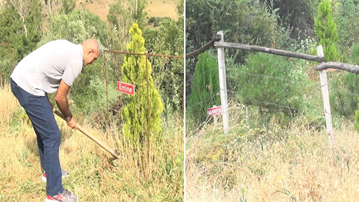Nizamettin Tural, çocukluk yıllarından beri köyde tanıdığı, vefat eden her kadın için köyün ağaçsız alanlarına çam, köknar ve ladin ağaç türlerinden oluşan 30 fidan dikti. 