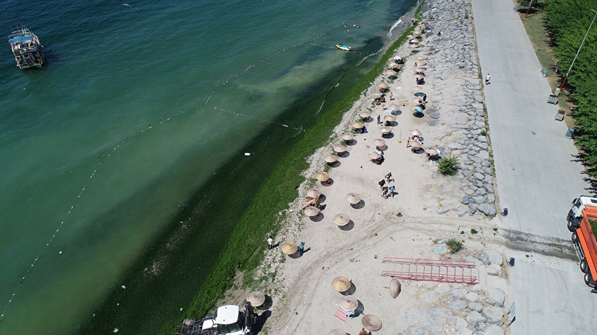 Osman Yıldırım, "Yosunların temizlenmesi gerek. Böyle olmaz. Birçok kişi geldi, yosun olduğu için çekip gitti" dedi.