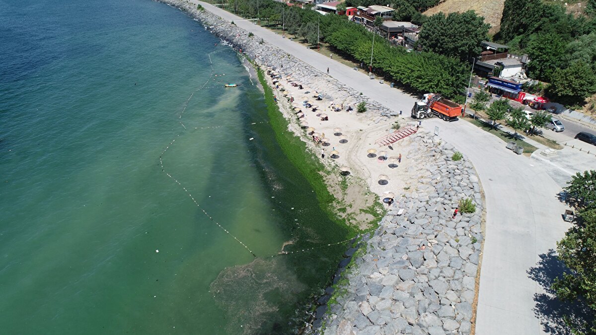 Yosunlar nedeniyle denize çok az sayıda kişi girerken, gelenler gölgelik alanda oturmayı veya güneşlenmeyi tercih etti.